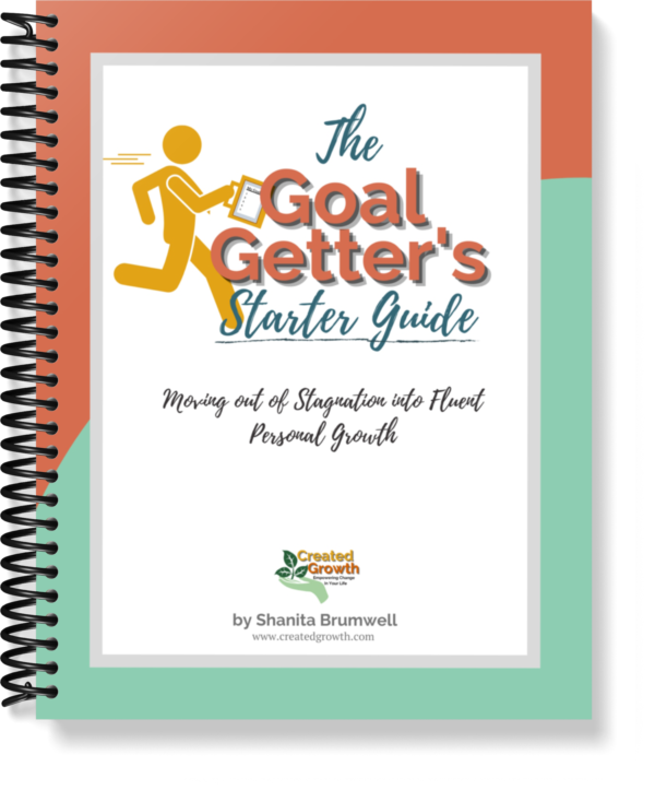 The goal getter's stater guide