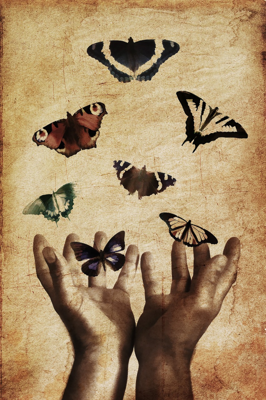 butterflies, hands, butterfly-843298.jpg